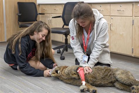 Veterinary Adventures High School Students Explore Veterinary Medicine