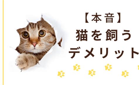 猫を飼うメリットとは？人生を豊かにする、猫との生活の魅力 むっちり猫と召使い