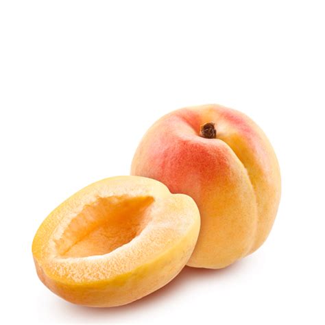 Apricot Png Image Purepng Free Transparent Cc0 Png Image Library