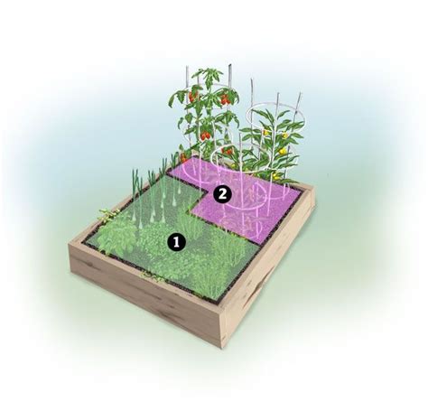 Planning A 4 X 4 Raised Bed Garden To Plant Ingredients For Pizza
