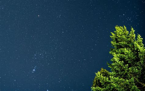 Download Wallpaper 1680x1050 Tree Starry Sky Stars Night Branches