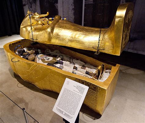 Discover King Tut At The Discovery Center Of Idaho Local News