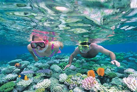 Discover The Great Barrier Reef On A Scuber Adventure Goway