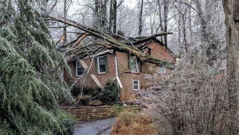 Tree Falls On Mans House During Storm