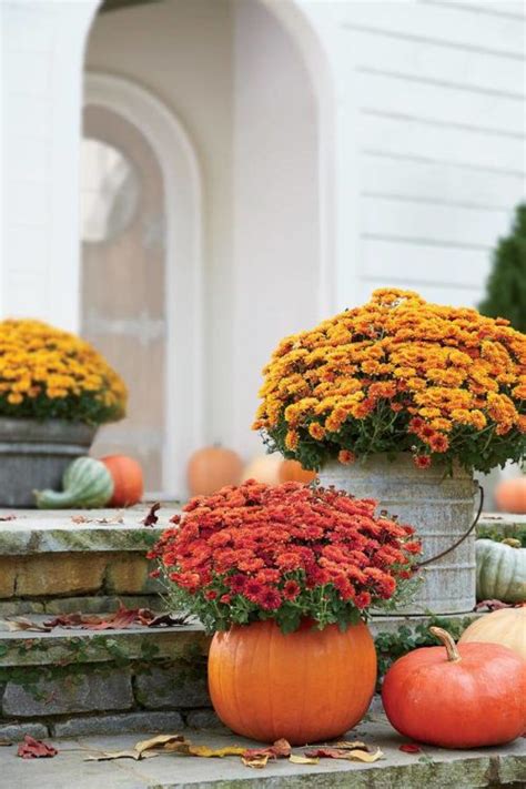 Beautiful Creativity Fall Flowers Planted In A Pumpkin