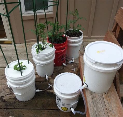 5 Gallon Self Watering Tomato Container Diy Projects For Everyone