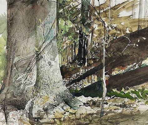 Andrew Wyeth Beech Tree Watercolor And Not Egg Tempera Which He Used