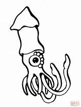 Coloring Squid Animal European Printable Drawing Minecraft Clipartpanda Giant Clipart Presentations Websites Reports Powerpoint Projects Terms sketch template