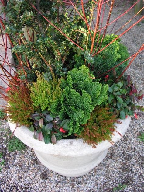 How To Transition The Container Garden From Fall To Winter With