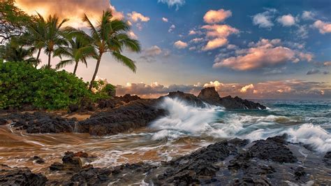 Fondos De Pantalla Maui Hawaii Calma Marino Rocas Palmeras Playa