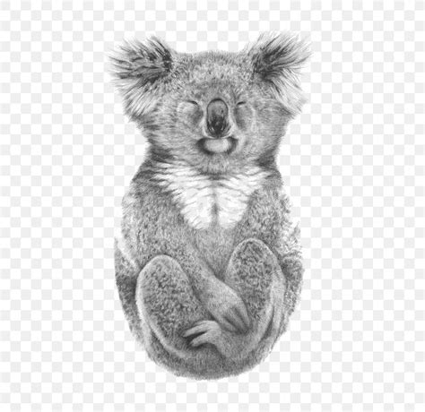 Koala Drawing ~ Drawing Easy