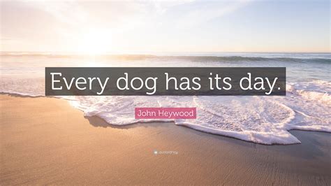 What Does The Saying Every Dog Has Its Day Mean