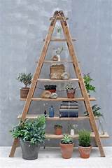 Shelves With Ladder Pictures
