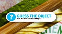 Can you guess the objects? - Close-up Photo Quiz - YouTube