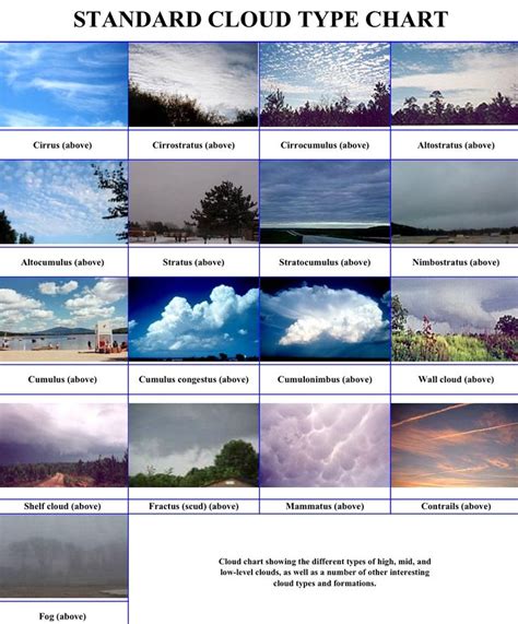 Types Of Clouds Weather And Climate Clouds Cloud Type