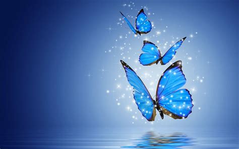 Free Download Butterflies Desktop Wallpaper Wallpaperspickcom