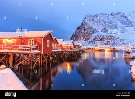 The Rorbu The Norwegian Red Houses Built On Stilts In The Bay Of Reine
