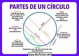 Estructura y Partes del Círculo y de la Circunferencia