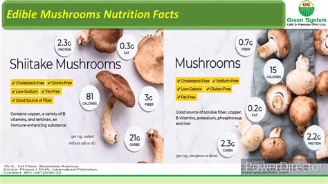 Edible Mushroom Information varieties By GSU&P - YouTube