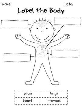 Grade 1 human body functionsheets are a simple, easy to understand method for students to learn the anatomy of their body. How Our Bodies Work: K/1 Human Body Science Unit | Human ...