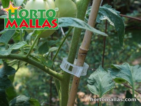 Tomato Clips Hortomallas™ Supporting Your Crops®