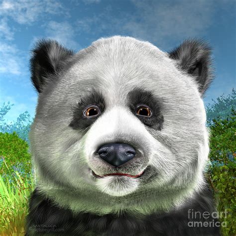 Panda Bear Painting By Shiny Thoughts Fine Art America