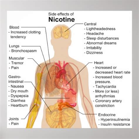 Side Effects Of Nicotine On The Human Body Chart Poster Zazzle