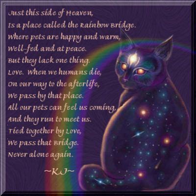 Then you cross rainbow bridge together r a i n b o w br i dge title rainbow bridge printable author i created a free printable based on rainbow bridge in loving memory of my daughters and our familys cat caressa who died yesterday. rainbow bridge | Rainbow bridge cat, Rainbow bridge, Cat loss