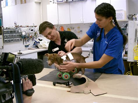 Prosthetic Center Of Excellence News July 2010