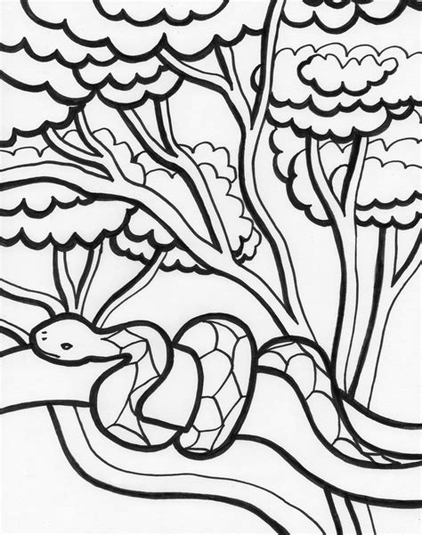Snake Coloring Pages 14 Coloring Kids