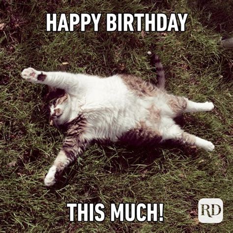 30 Of The Funniest Happy Birthday Memes Readers Digest