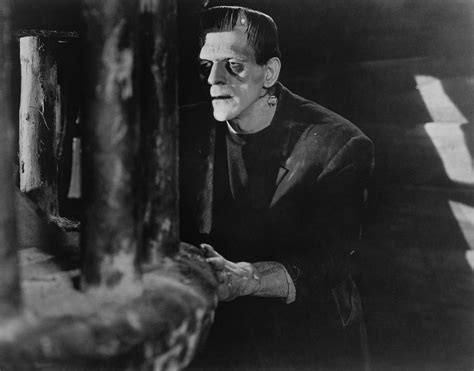 Frankenstein Stills Classic Movies Photo 19760768 Fanpop