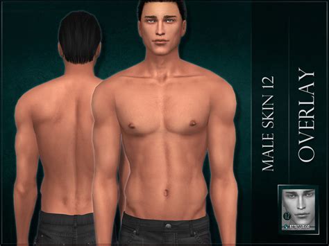 RemusSirion's Male skin 12 Overlay