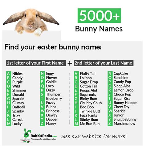 5000 Most Popular Bunny Names Top 250 Boy And Girl