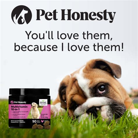 Allergy Supplements For Dogs Pet Honesty