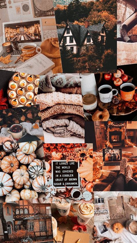 12 Cute Autumn Wallpaper Ideas Pumpkin And Dried Orange I Take You