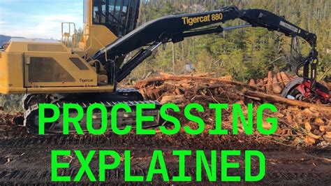 The Basics Of Processing Logs Tigercat With Waratah C Youtube