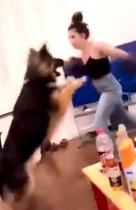 Snapchat Video Of ‘boxing Idaho Woman Punching Her German Shepherd In The Face Sparks