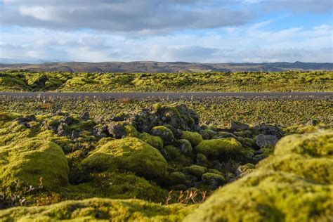 Eldhraun Lava Field In South Iceland Location Guesthouse And More