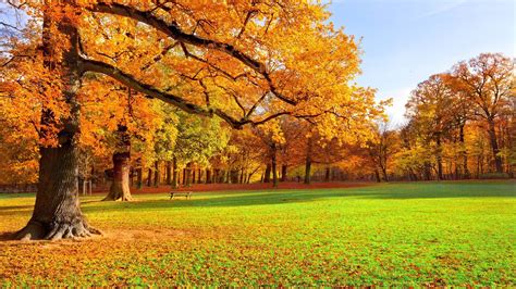 10 Top Images Of Fall Scenery Full Hd 1080p For Pc Background 2021