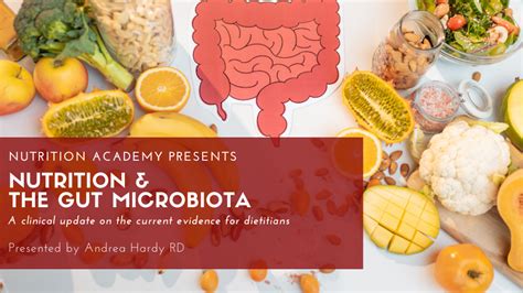 Nutrition And The Gut Microbiota Nutrition Academy