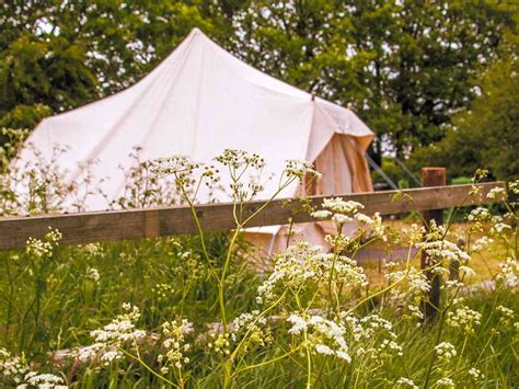 Bluebell Bell Tent Photo Added By Manager On 07062022