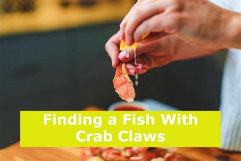 Finding A Fish With Crab Claws
