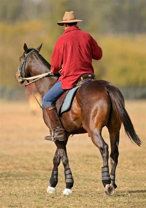 Horse And Rider Stock Photo Image Of Equine Gallop Ranch 1053938