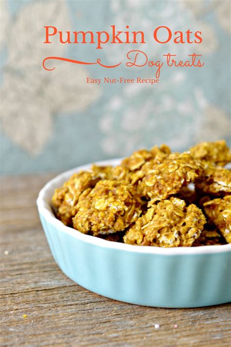 Walmart.com has been visited by 1m+ users in the past month Easy Hypoallergenic Dog Treat Recipe: Pumpkin and Oats