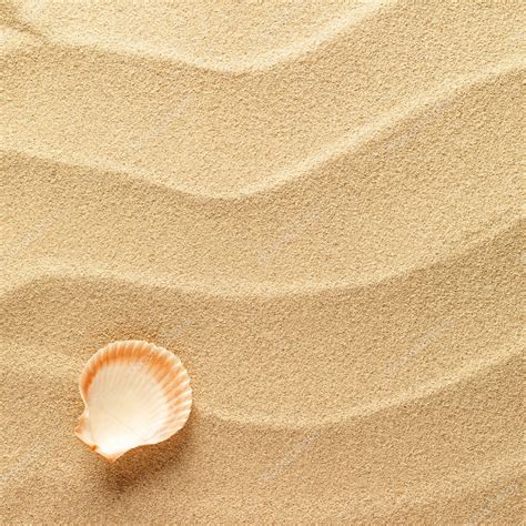 Sea Shells With Sand As Background Stock Photo By ©smaglov 8735922