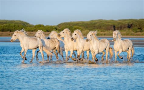 10 Important Wetlands In The World With Photos Touropia