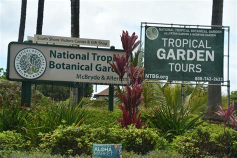 Allerton Garden National Tropical Botanical Garden In Koloa On Kauai