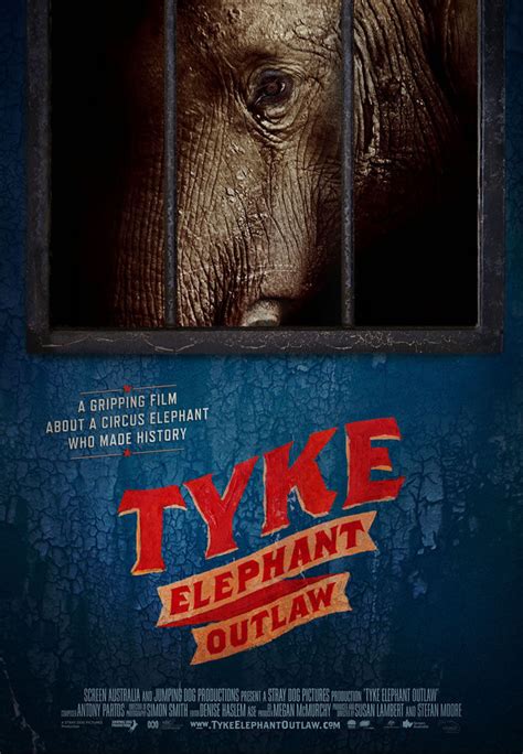 Must See Film Tyke Elephant Outlaw Now Available On Netflix Peta