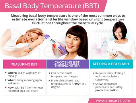 How To Calculate Your Basal Body Temperature Printable Templates